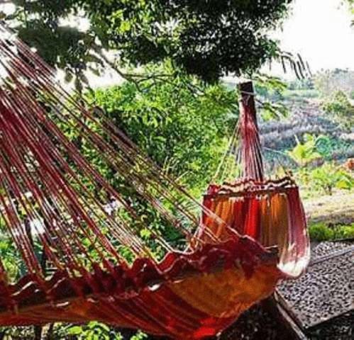 Palmlea Farms Lodge & Bures - Villas Labasa Bagian luar foto