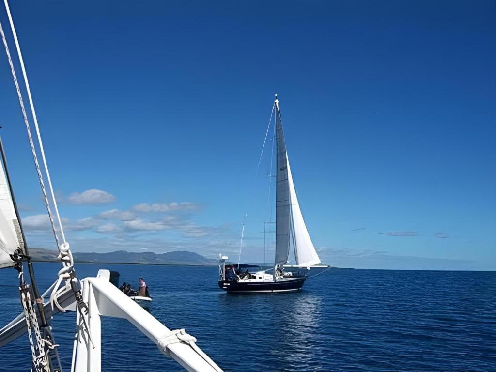 Palmlea Farms Lodge & Bures - Villas Labasa Bagian luar foto